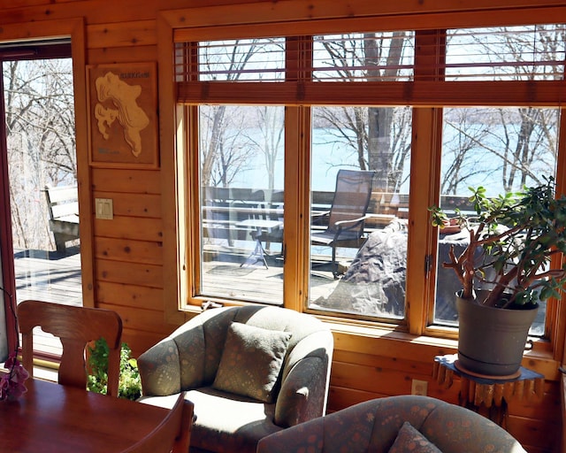 32990 Heilberger Dr, Erhard, MN 56534 - living area with wood walls