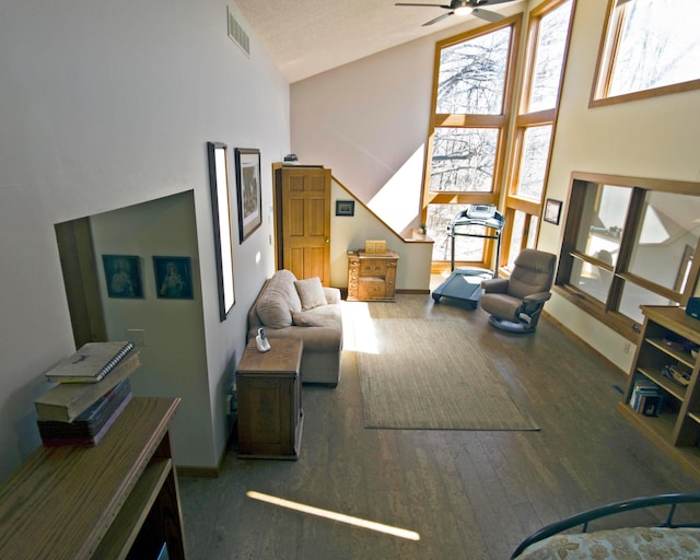 32990 Heilberger Dr, Erhard, MN 56534 - living room with high vaulted ceiling, wood finished floors, ceiling fan, and baseboards