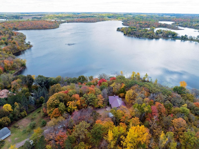32990 Heilberger Dr, Erhard, MN 56534 - bird's eye view of a nearby body of water and a forest