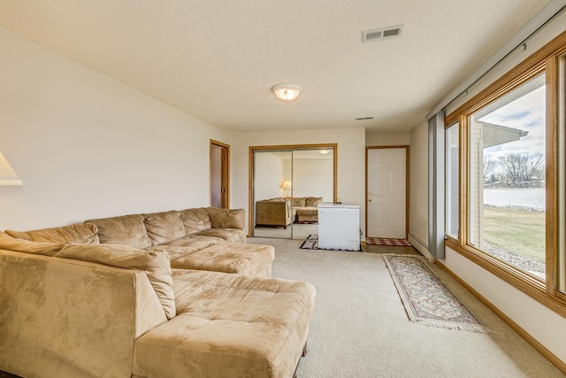 50568 Lakeside Cir, Rush City, MN 55069 - living area featuring light colored carpet and a textured ceiling