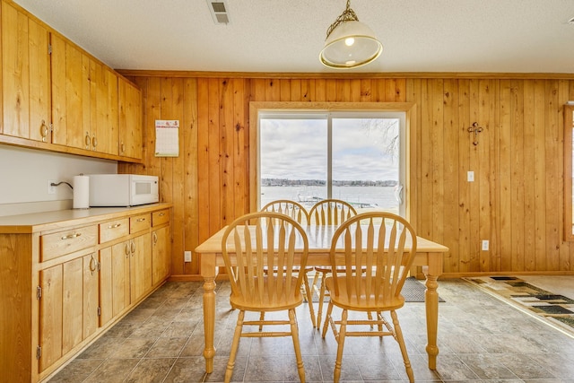 50568 Lakeside Cir, Rush City, MN 55069 - dining space with wood walls, a textured ceiling, and a water view