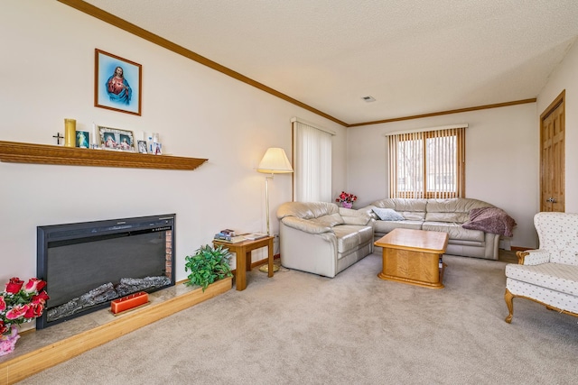 50568 Lakeside Cir, Rush City, MN 55069 - living room featuring ornamental molding, carpet floors, and a glass covered fireplace