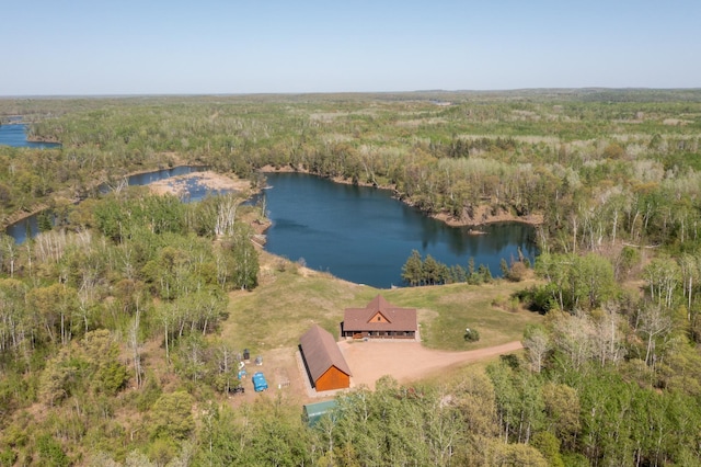 24341 Bluebird Ave, Trommald, MN 56441 - view from above of property featuring a forest and a large body of water