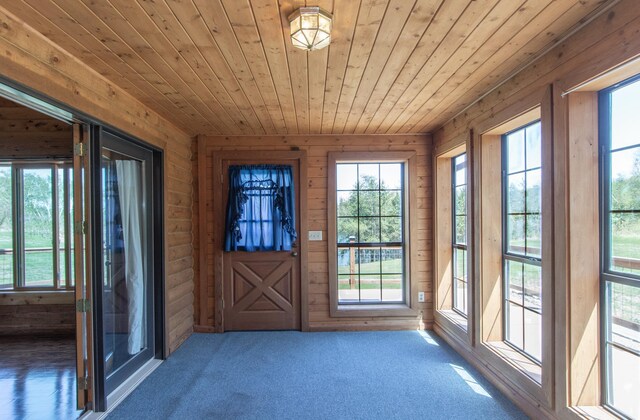 24341 Bluebird Ave, Trommald, MN 56441 - doorway with wood ceiling, carpet, and wood walls