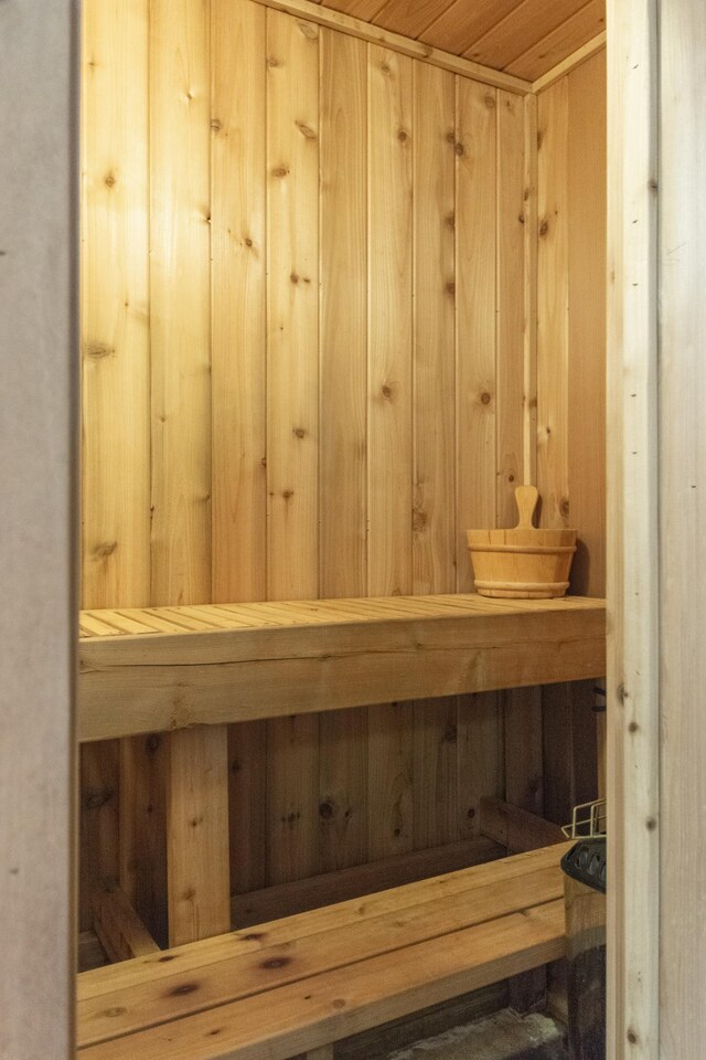 24341 Bluebird Ave, Trommald, MN 56441 - sauna with wood walls