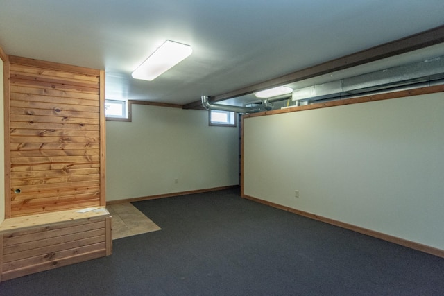 24341 Bluebird Ave, Trommald, MN 56441 - basement featuring carpet flooring and plenty of natural light