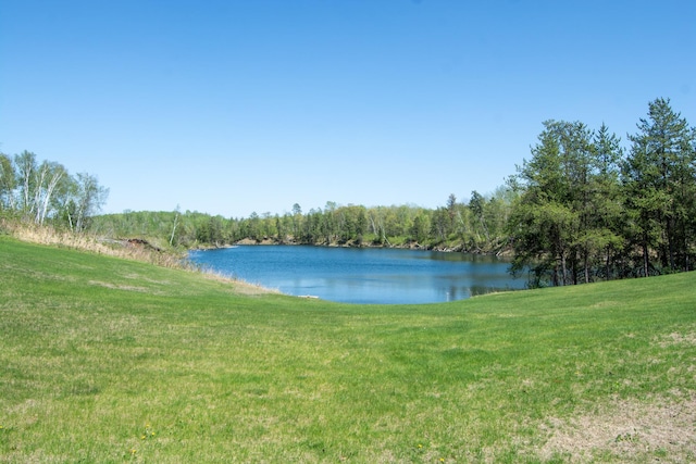 24341 Bluebird Ave, Trommald, MN 56441 - water view featuring a forest