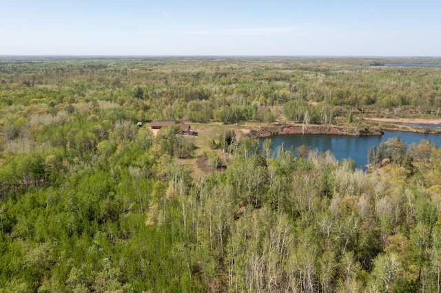 24341 Bluebird Ave, Trommald, MN 56441 - aerial view of a forest and a large body of water