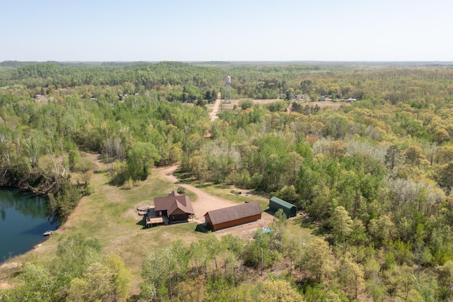 24341 Bluebird Ave, Trommald, MN 56441 - view of subject property featuring a forest and a large body of water