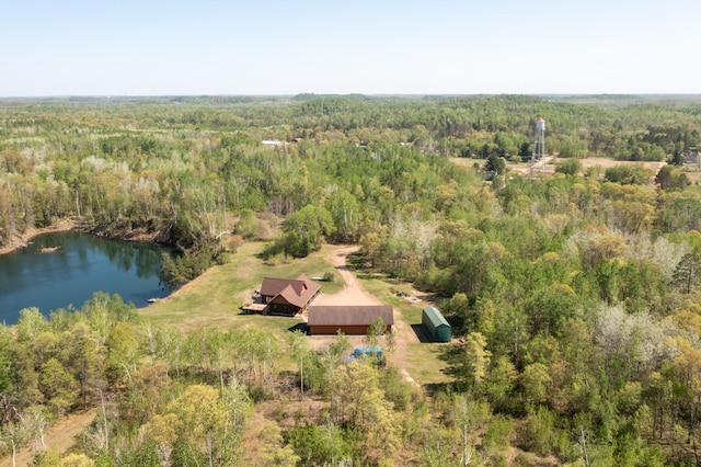 24341 Bluebird Ave, Trommald, MN 56441 - view of property location with a forest and a nearby body of water