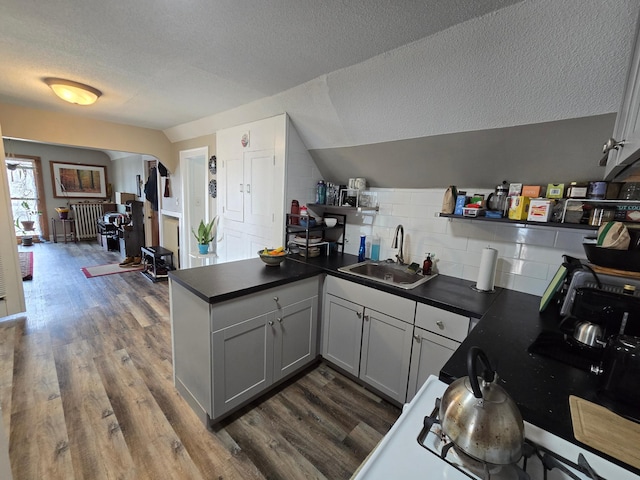 kitchen with a peninsula, dark wood-style flooring, a sink, and open shelves