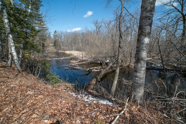 view of water feature featuring a forest view