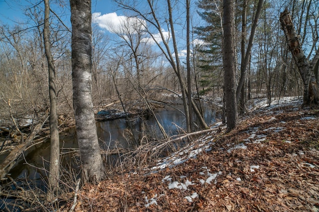 view of water feature with a wooded view