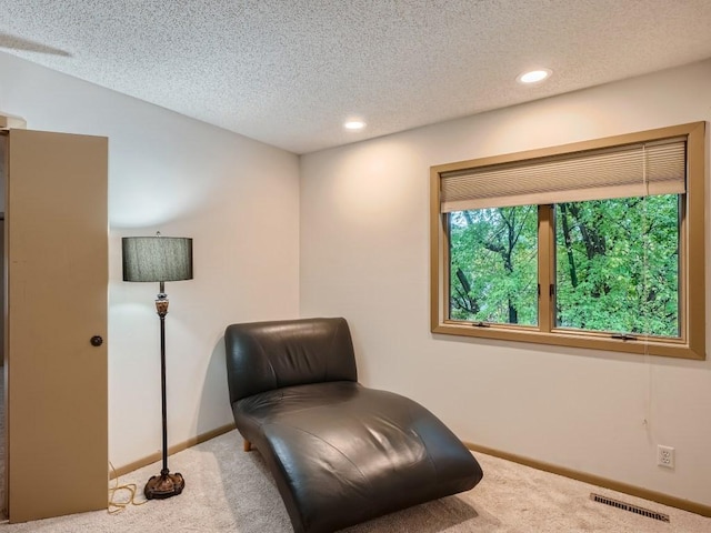 sitting room with baseboards, a textured ceiling, and carpet