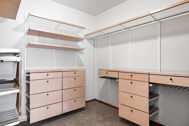 7100 Metro Blvd Unit 206, Edina, MN 55439 - walk in closet with dark colored carpet