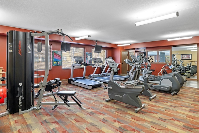 7100 Metro Blvd Unit 206, Edina, MN 55439 - workout area featuring carpet floors