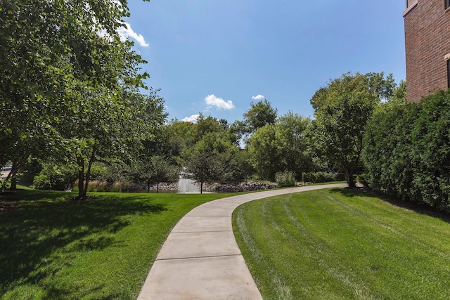 7100 Metro Blvd Unit 206, Edina, MN 55439 - view of property's community featuring a lawn