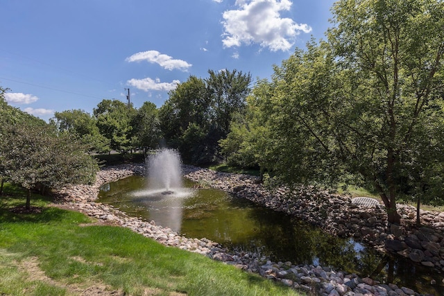 7100 Metro Blvd Unit 206, Edina, MN 55439 - water view
