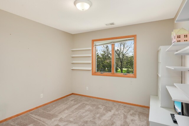 3352 Richmond Bay, Woodbury, MN 55129 - photo 30