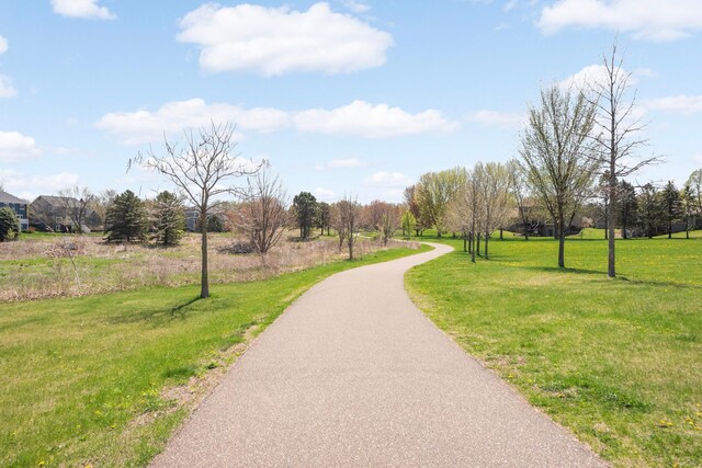 3352 Richmond Bay, Woodbury, MN 55129 - photo 57