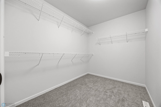 3187 Archer Pl S, Fargo, ND 58104 - walk in closet featuring carpet flooring