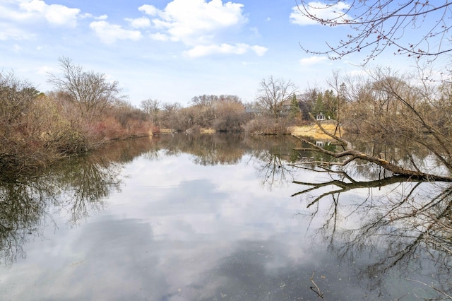 7604 Delaney Blvd, Edina, MN 55439 - view of water feature
