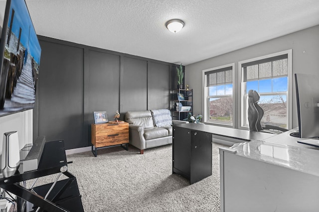 5836 Radford Ave NE, Otsego, MN 55374 - office space with carpet and a textured ceiling