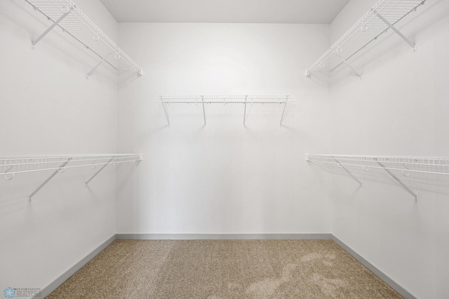10218 73rd St S, Horace, ND 58047 - walk in closet featuring carpet floors