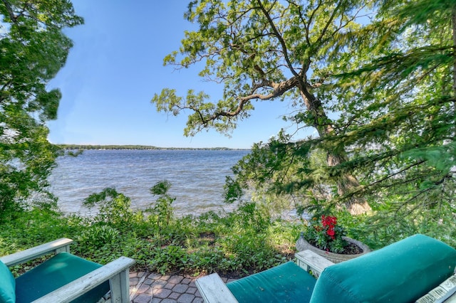 1812 Shore Dr, Detroit Lakes, MN 56501 - photo 4