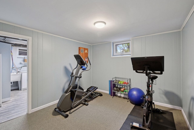 workout room with crown molding, baseboards, and a decorative wall