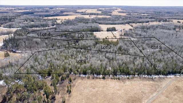 9377 Wood Rd, Poplar, WI 54864