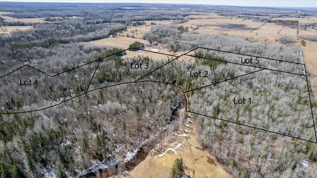 9377 Wood Rd, Poplar, WI 54864