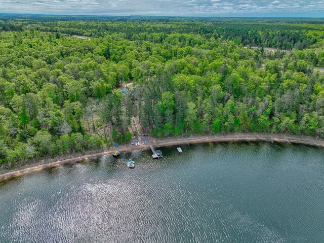 3844 State Road 77, Swiss Twp, WI 54830 - photo 59