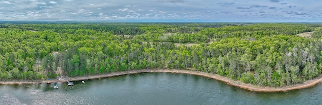 3844 State Road 77, Swiss Twp, WI 54830 - photo 60