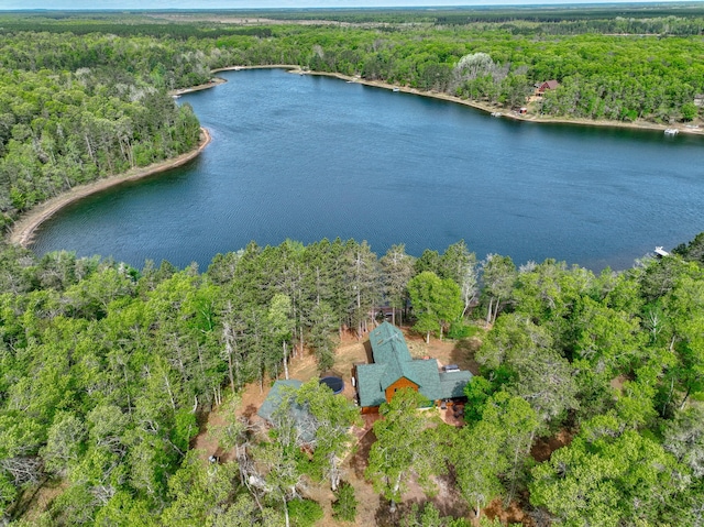 3844 State Road 77, Swiss Twp, WI 54830 - photo 1
