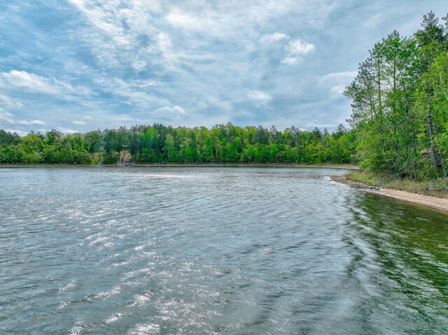 3844 State Road 77, Swiss Twp, WI 54830 - photo 54
