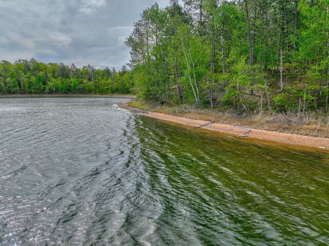 3844 State Road 77, Swiss Twp, WI 54830 - photo 55