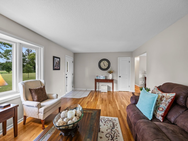 26635 Variolite St NW, Stanford Twp, MN 55070 - living room featuring a textured ceiling and light wood-style floors