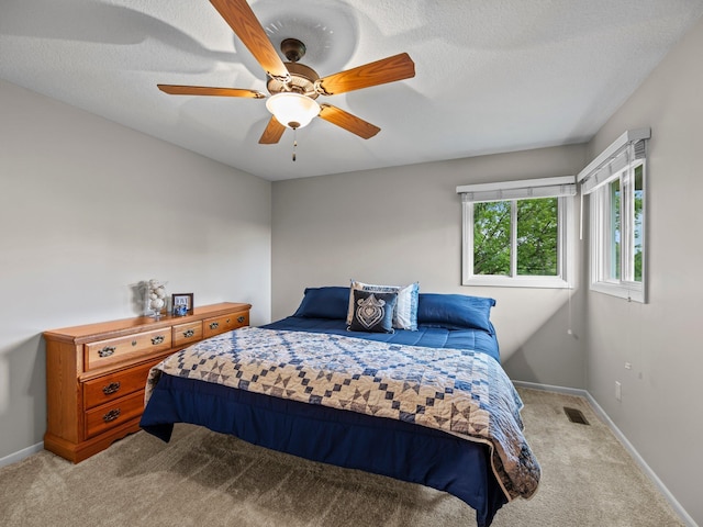 26635 Variolite St NW, Stanford Twp, MN 55070 - carpeted bedroom with baseboards and a ceiling fan