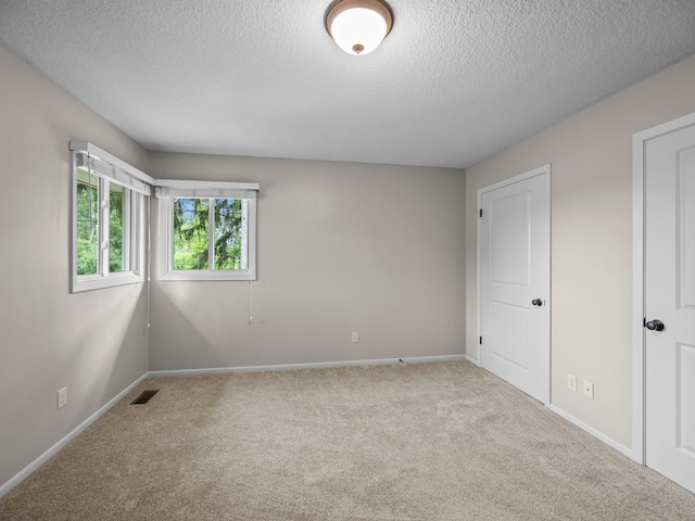 26635 Variolite St NW, Stanford Twp, MN 55070 - unfurnished bedroom featuring carpet and a textured ceiling