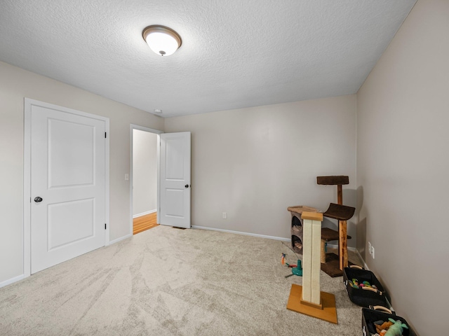 26635 Variolite St NW, Stanford Twp, MN 55070 - unfurnished bedroom featuring carpet floors and a textured ceiling
