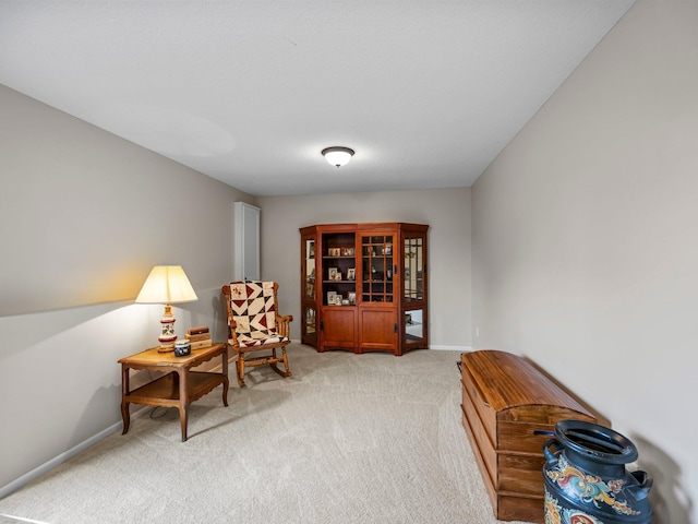 26635 Variolite St NW, Stanford Twp, MN 55070 - living area featuring light carpet and baseboards