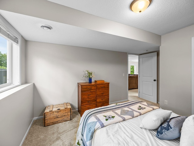 26635 Variolite St NW, Stanford Twp, MN 55070 - bedroom with carpet floors and a textured ceiling