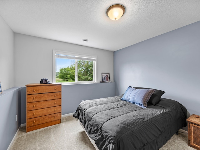26635 Variolite St NW, Stanford Twp, MN 55070 - carpeted bedroom featuring a textured ceiling and baseboards