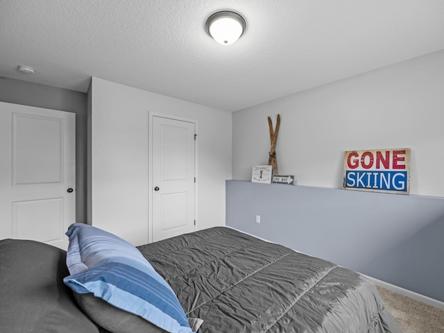 26635 Variolite St NW, Stanford Twp, MN 55070 - bedroom featuring carpet flooring and a textured ceiling