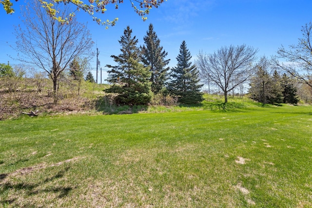 view of grassy yard