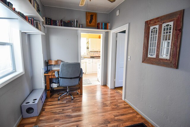 office area featuring baseboards, a ceiling fan, and wood finished floors