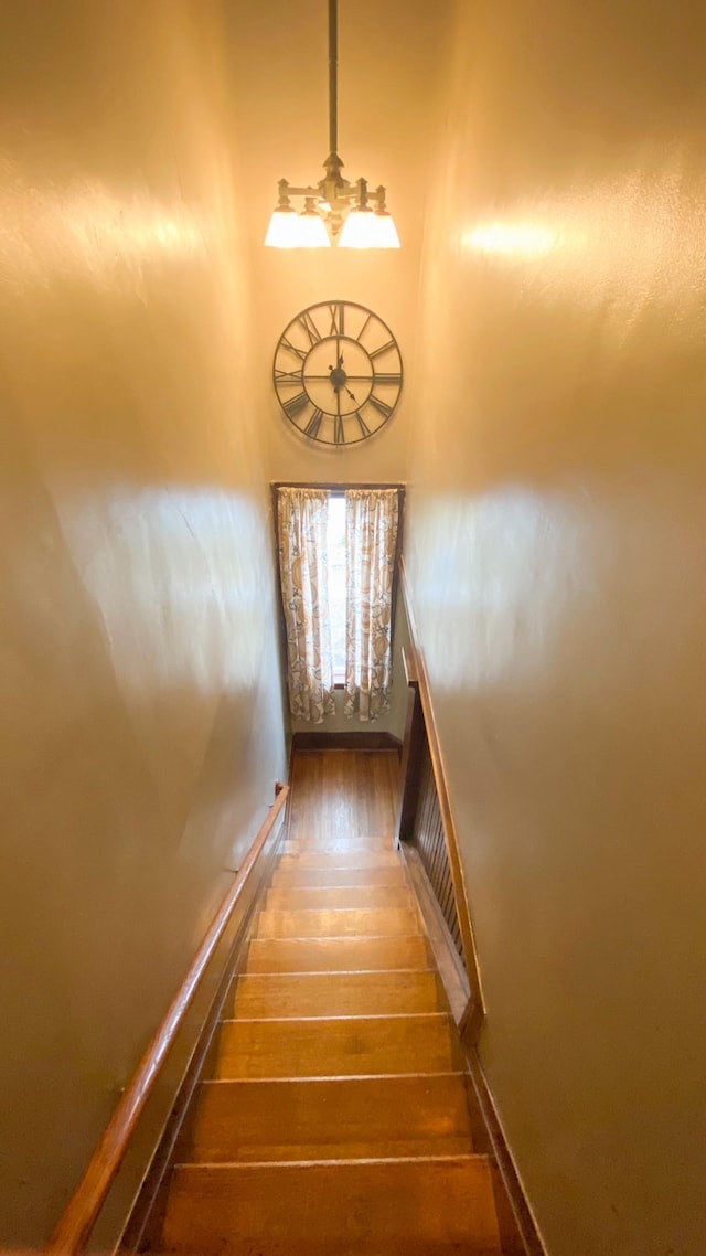 stairway featuring hardwood / wood-style flooring