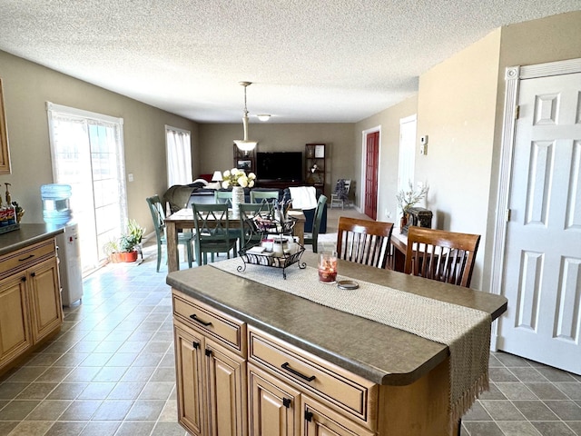 32661 County Road 16, Ross, MN 56751 - kitchen featuring dark countertops, a textured ceiling, dark tile patterned flooring, and decorative light fixtures