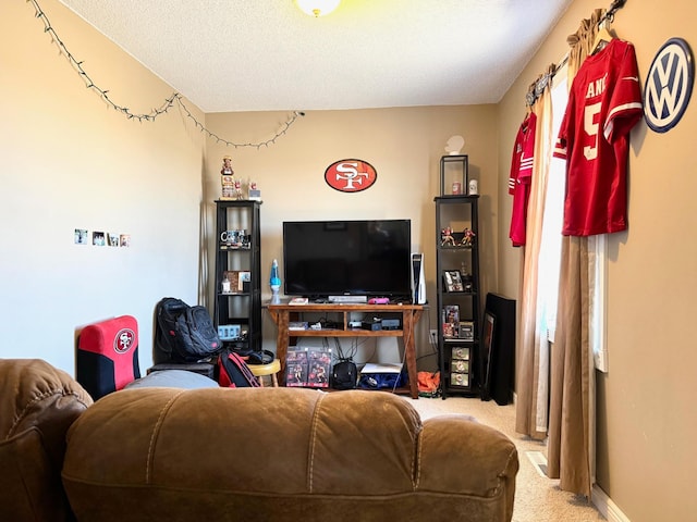 32661 County Road 16, Ross, MN 56751 - living room featuring light carpet and a textured ceiling